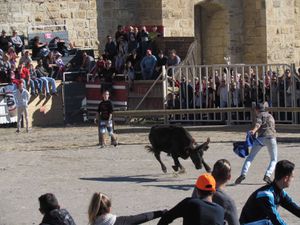 AIGUES MORTES (2)