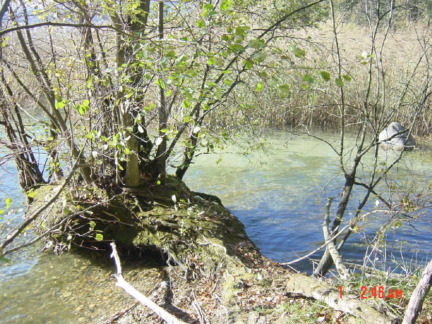 Album - lac-de-neuchatel