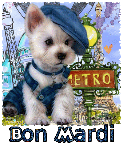 Gif Anniversaire Avec Chien