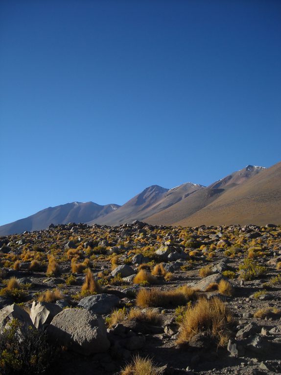 Album - SALAR-UYUNI---BOLIVIA