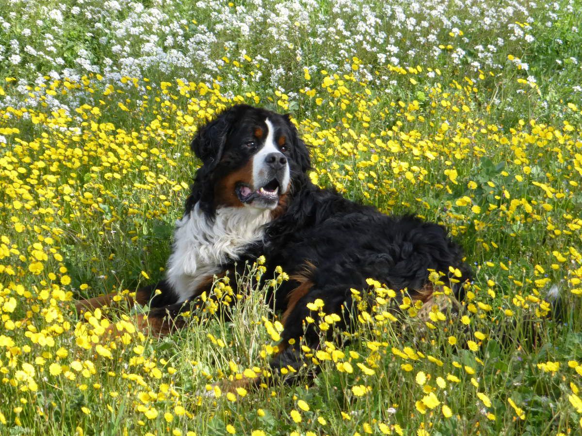 Eros et Julio &quot;in the flowers&quot; !!!!!!!!!!!!