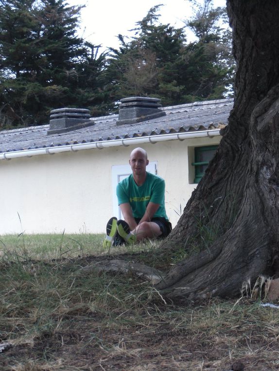 À l'ombre, sous son arbre, Simon donne les instructions. 