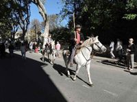 Mouriès, Fête des Olives vertes  1/6