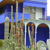 Maroc - Marrakech : le jardin Majorelle