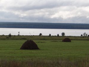 Un petit coucou de la rivière Ob aux cruciverbistes.