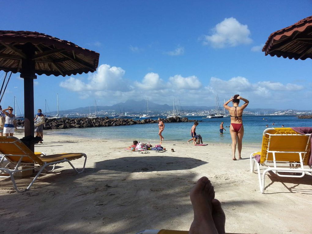 Les fêtes en Martinique, ça bouge ! 