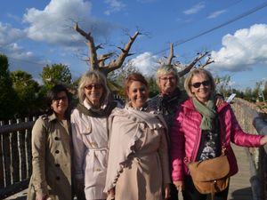 Retour en image sur la visite et la conférence au Zoo de Beauval avec Delphine Delors !