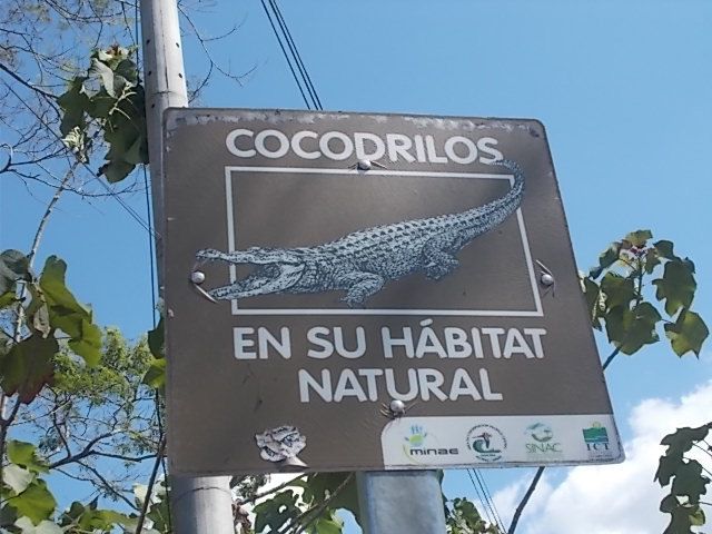 élevage, crocodiles, le ferry, le parc Marco Antonio, Cartago, le volcan Irazu et des fruits avec leurs noms locaux.