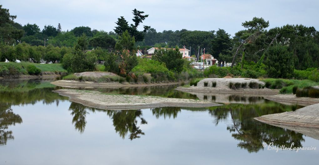 Un après-midi de printemps au Bassin d'Arcachon