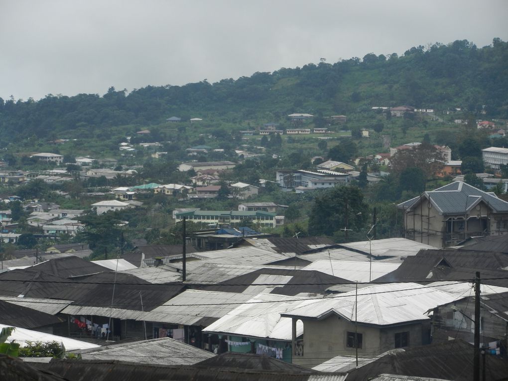 Limbé et ses plages, son parc botanique, son centre de la faune, son activité. Buea base pour le Mont Cameroun et le pont M'Fundi base pour le Nigeria