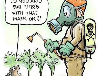 Pesticide et santé : l’équation sans solution