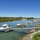Boyarville, canal ( Charentes-Maritimes 17 ) A