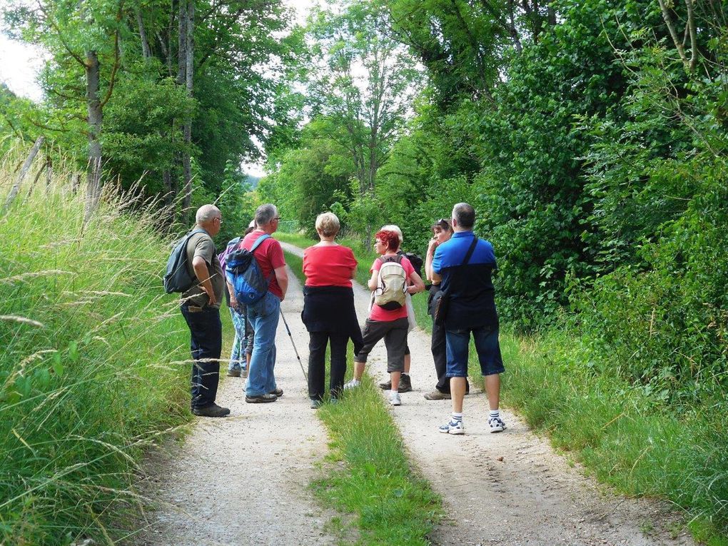 Chemin faisant,...