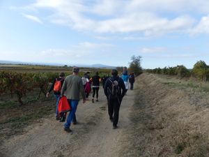 Marche pour tous Dimanche 24 Oct 2021