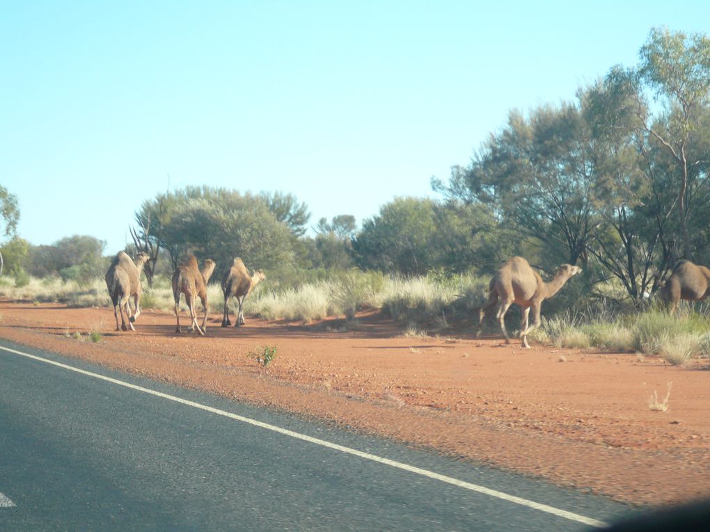 Album - From-Alice-Springs-to-Broome