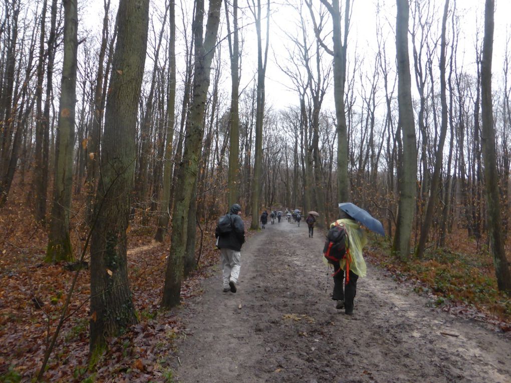 Les Bois de l'Hautil