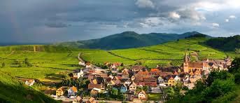 #Grand Cru Rangen Alsace Region France