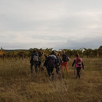 Sortie à la Dorgonne - CE1/CE2