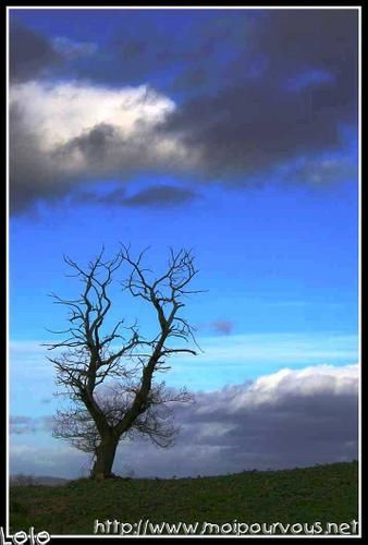 des photos diverses prises au fil des jours