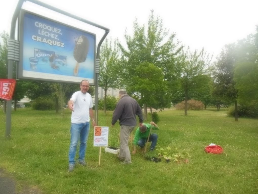 Action Front de Gauche du 30 mai: « Plutôt que d’éradiquer les herbes folles démocratisons la ratatouille »