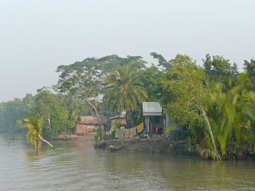 Voyage au Bangladesh (Dhaka et les Sunderbans) décembre 2010-Janvier 2011