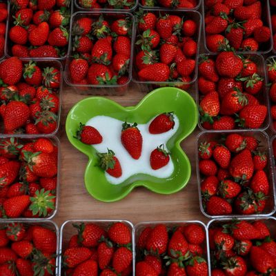 8ème fête de la fraise au lac du Soler en 45 photos