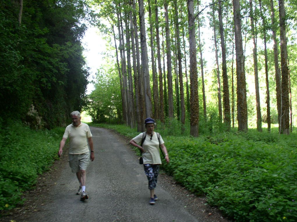 Photos variées de la famille de l'an 40 à nos jours