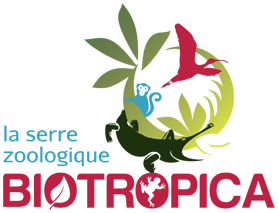 À la serre tropicale