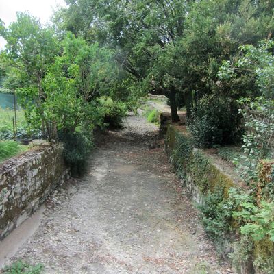 Quand la nature tient tête