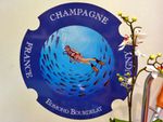 Voyage-plongée: les bulles de Valentin dans un banc de champagne