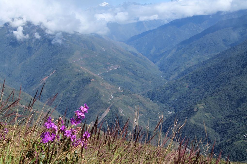 Descente vers les Yungas