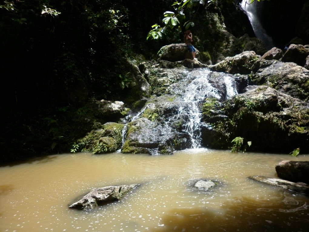 Album - Cairns---Rainforest.-Waterfalls--Beach