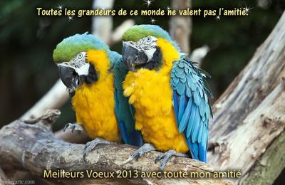 Bonne année 2013