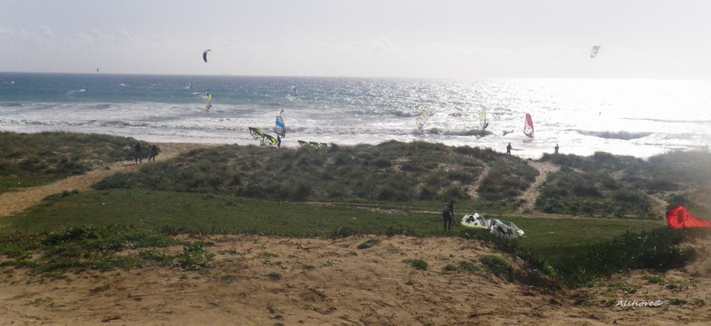 Album - Tarifa-Trip-2011