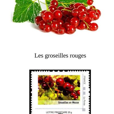 Les groseilles 