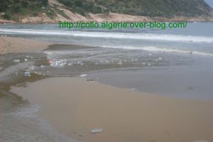 La plage Aïn Doula à Collo est menacée par Oued Seyel et ...