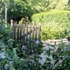 Ambiance d'un jardin