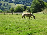 Un peu de repos pendant que nos guides discutent avec des connaissances à eux