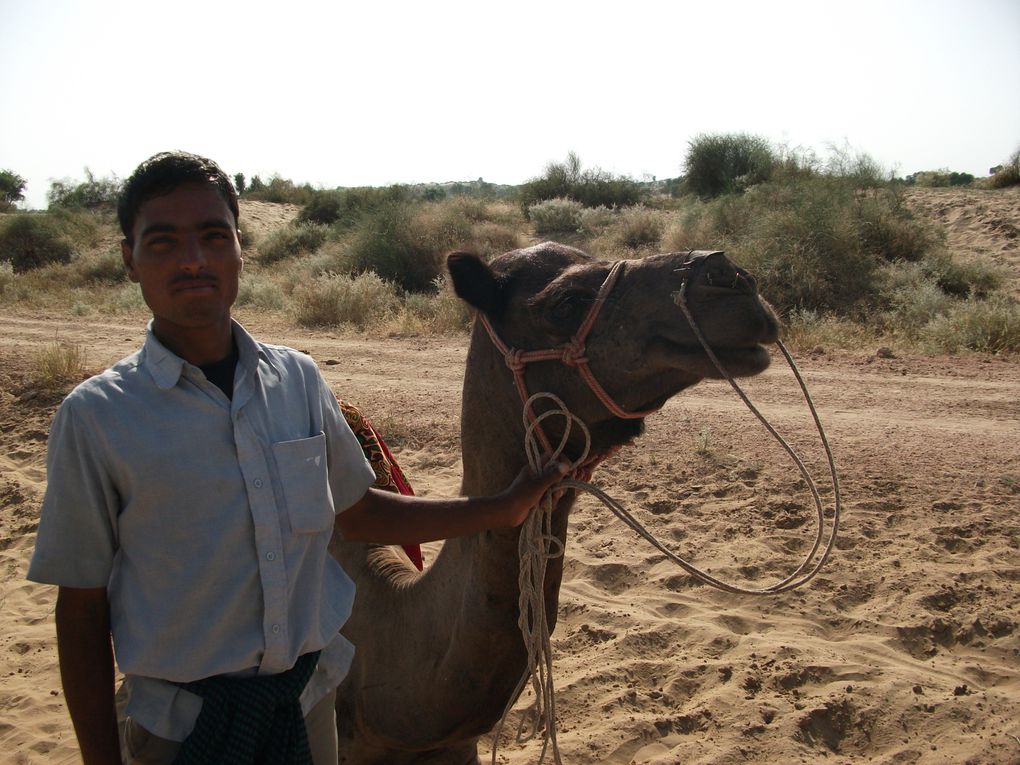 2nuits et 2jours ey demi a monter un dromadaire dans le desert!!