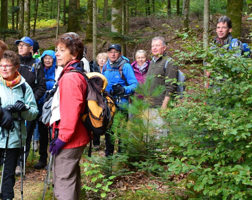 Rando. du 13 Octobre à Hennezel