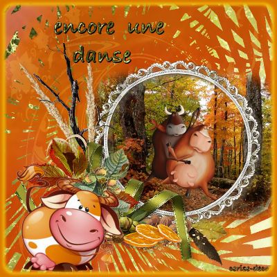 gifs humoristiques pour le défi d'anastasia