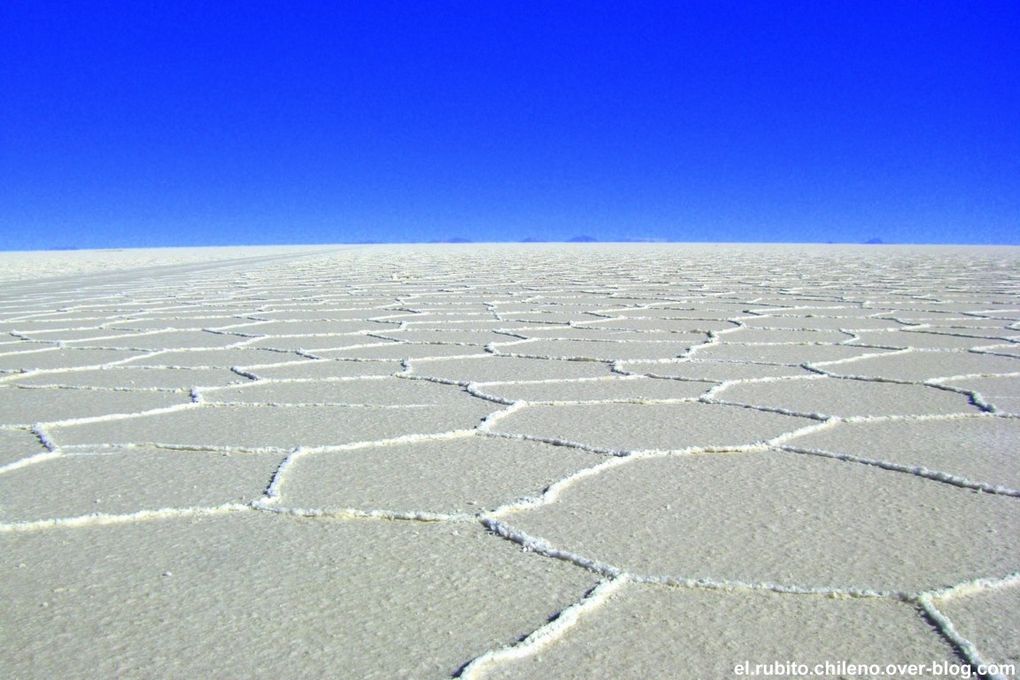 Levé de soleil depuis la Isla de Incahuasi. Traversé d'une des merveilles naturelles du monde. Le plus grand désert de sel du monde. Du blanc à perte de vue et un ciel bleu extraordinaire.