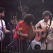 Irish reels : "Stockton's Wing" : "Chicago" set