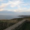 Balade dans la baie d'Ecalgrain (nord cotentin)