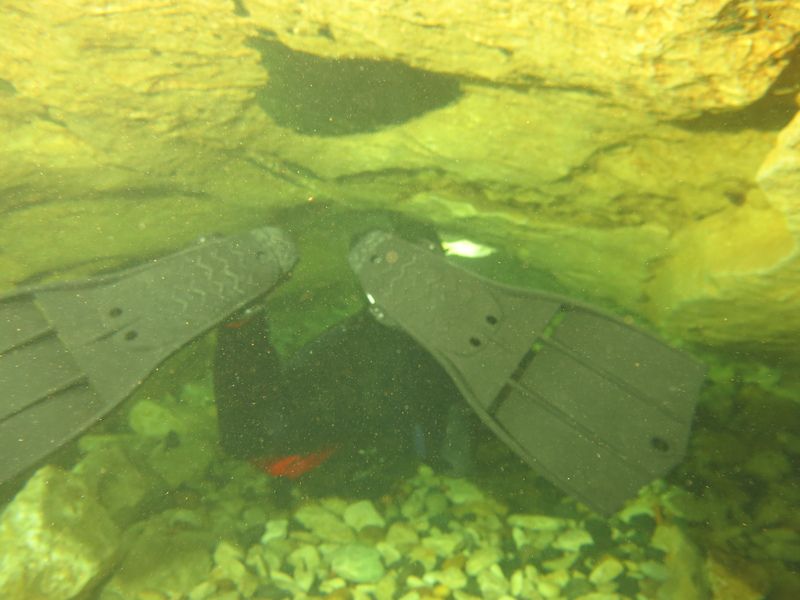 Ambiance sous l'eau et récoltes