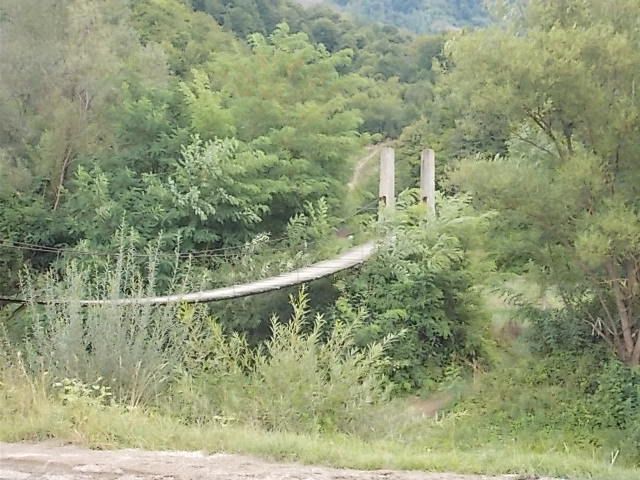 Les Maramures, le delta du Danube,  ses pélicans blancs et ses lacs, Targoviste ,le cochon avec Titi, Sibiu musée histoire naturel, glacier de Scarsoara....et cet oiseau qui apprend que tout n 'est pas acquis....