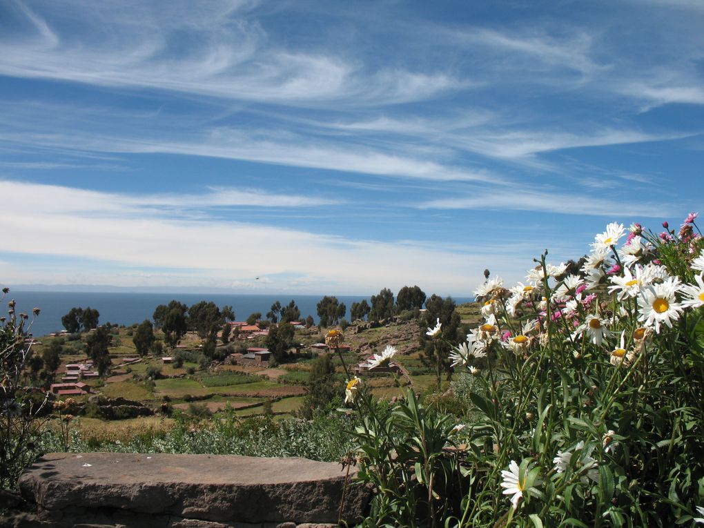 Lac Titicaca : îles Uros, île Taquille, île Amantani / Cusco / Chinchero / Machu Picchu / Pisac / Aguas calientes / Ollantaytambo / Arequipa / Colca / Nazca / Huacachina / Lima / Huaraz / Trujillo / Huanchaco