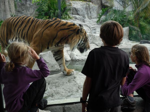 Auckland, Singapour, Kathmandou : saltos et grand écart !