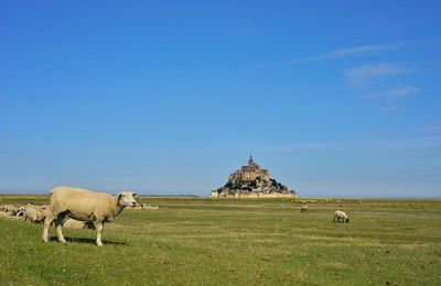 Le Mont Saint Michel