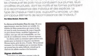 Article de presse